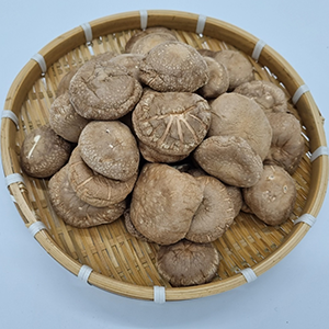 표고버섯(국내산)